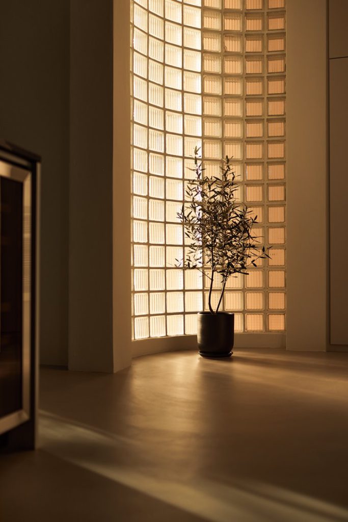 an interior photograph featuring a tiled glass wall and a plant